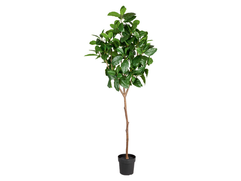 Gehe zu Vollbildansicht: LIVARNO home Kunstpflanze Magnolie, 190 cm - Bild 1