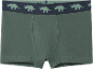 Grüne Boxershorts mit blauem Gummibund und Triceratops-Dinosaurier-Muster