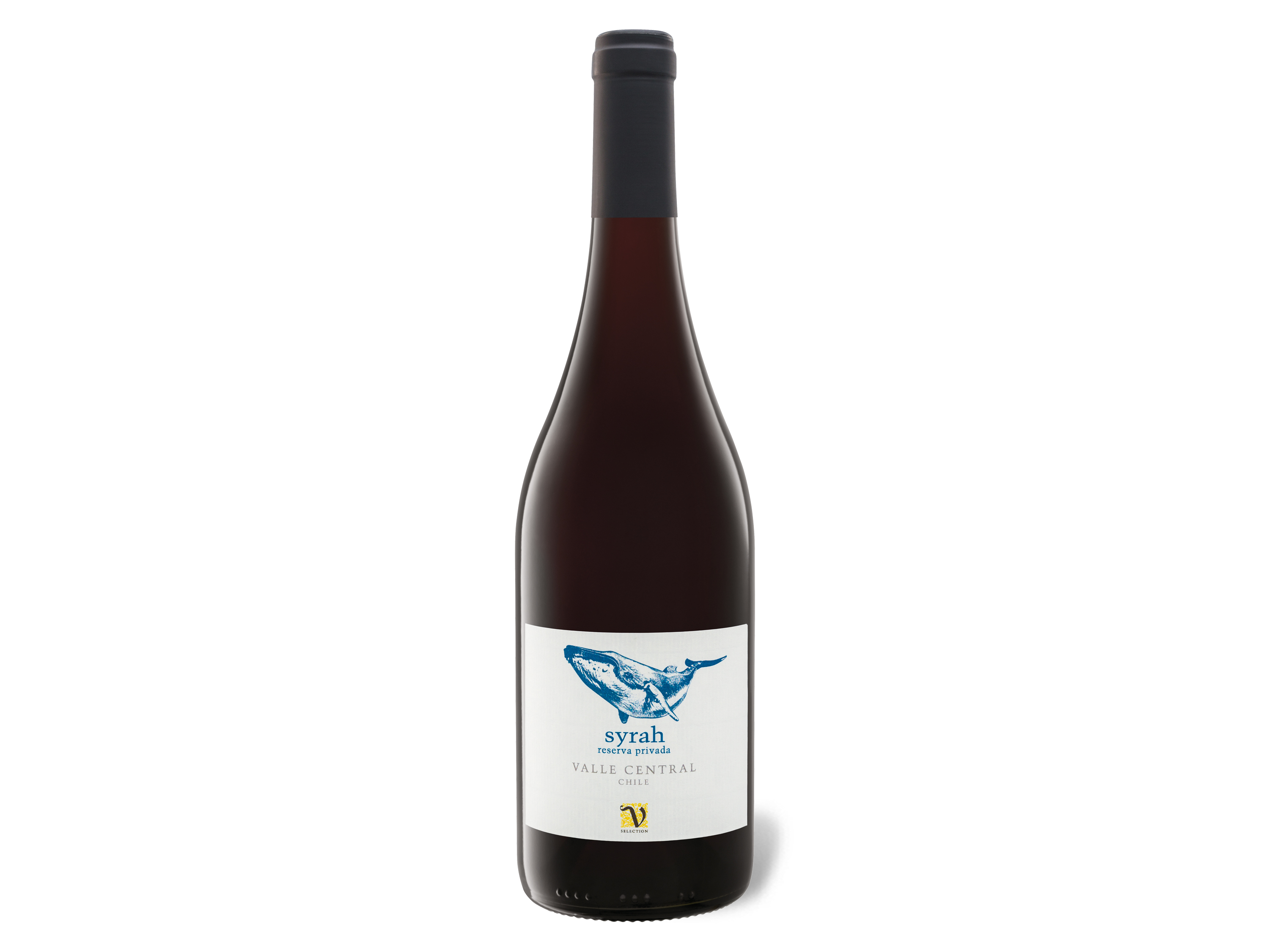 VIAJERO Syrah Chile Valle Central trocken, Rotwein 2020 Wein & Spirituosen Lidl DE