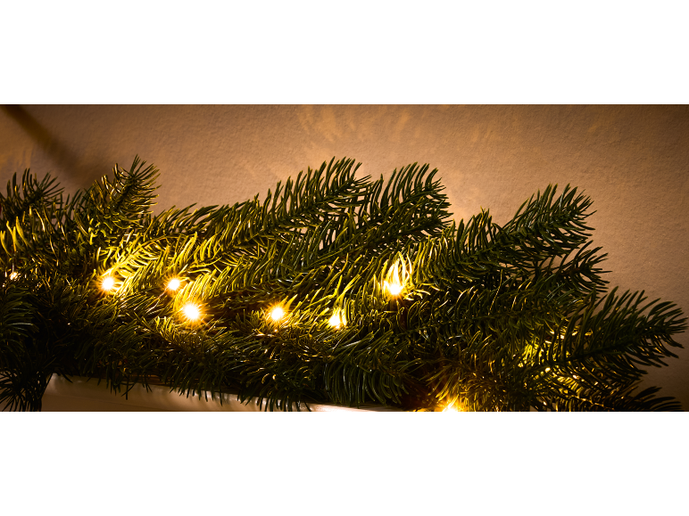LIVARNO® LED-Tannengirlande \ LED-Zederngirlande