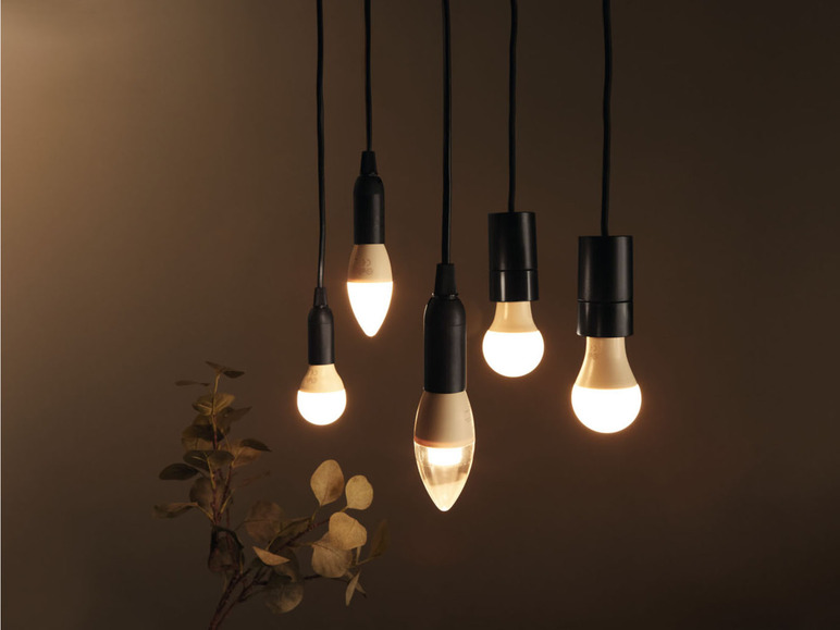 Gehe zu Vollbildansicht: LIVARNO home LED-Lampen, Birne / Kerze - Bild 22