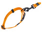 Eine orangefarbene Hundeleine mit einem Karabinerhaken.