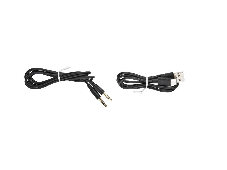 Zwei schwarze Kabel: eines mit USB-Stecker, das andere mit zwei Audio-Klinkensteckern.