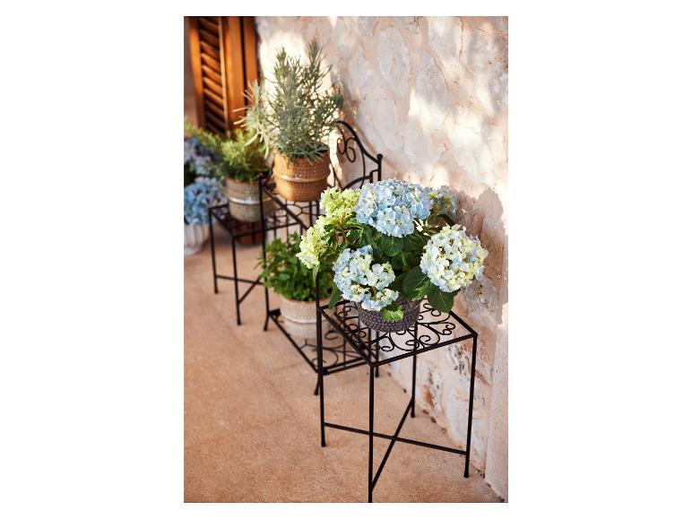 Blumentöpfe auf einem Metall-Pflanzenständer