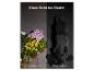 Nachtsicht-Vergleich: bunte Blumen vs. Infrarot-Hund, mit Text „Klare Sicht bei Nacht“.