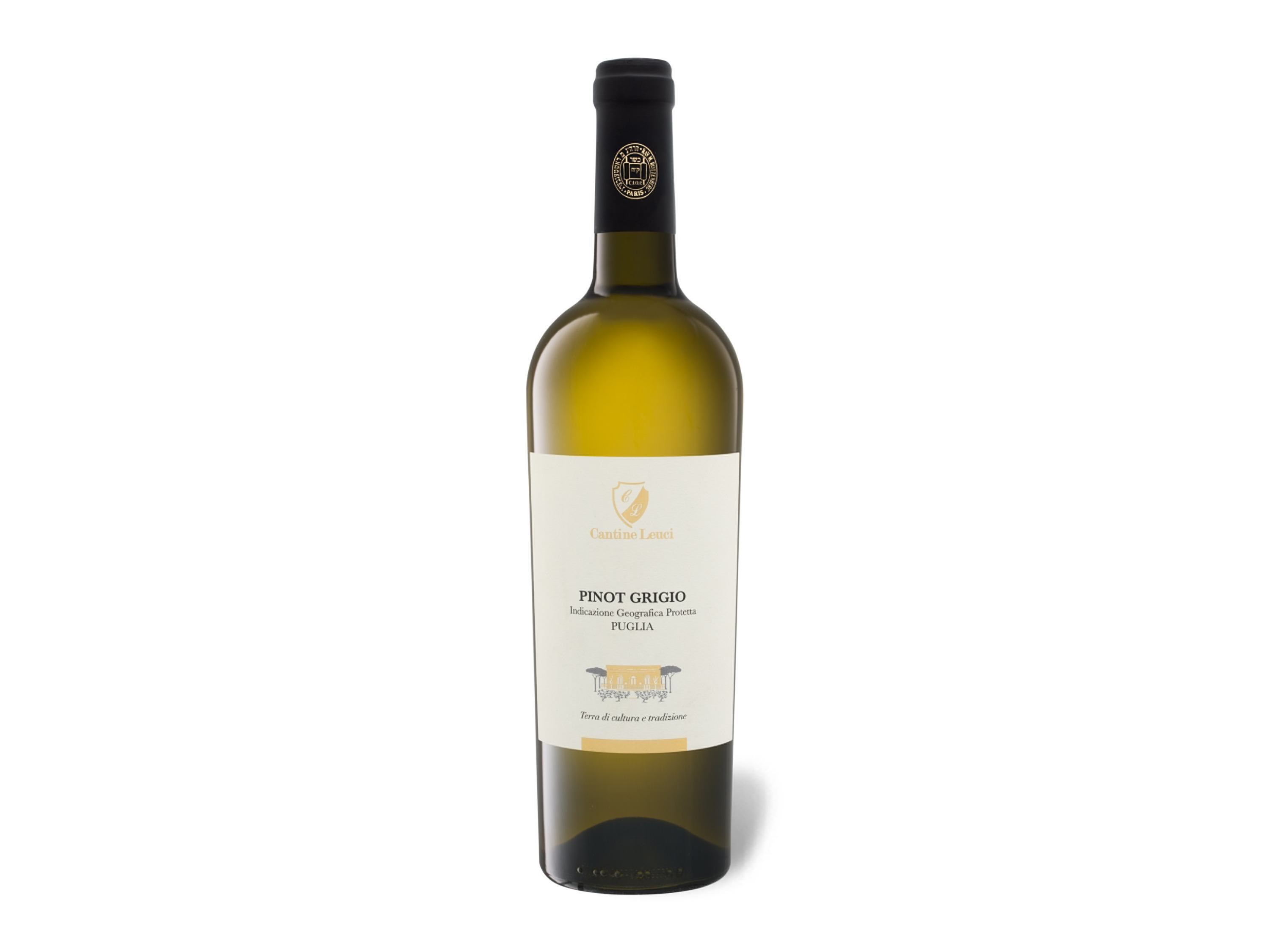 Lidl Wein-Angebot - CANTINE LEUCI Pinot Grigio Puglia IGP trocken koscher, Weißwein 2025