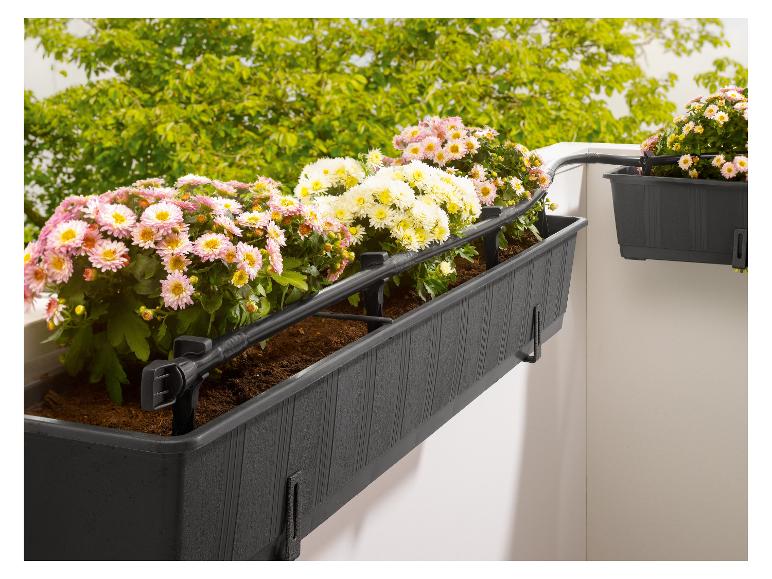 Chrysanthemen in Balkonkästen mit integriertem Bewässerungssystem.