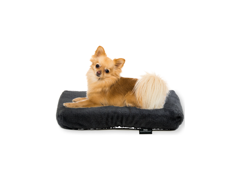 ROHRSCHNEIDER Tierkissen Max, formstabil | Lidl