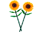Zwei Spielzeug-Sonnenblumen mit grünen Stielen auf schwarzem Hintergrund.