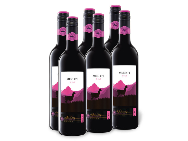 Gehe zu Vollbildansicht: 6 x 0,75-l-Flasche Weinpaket Central Valley Merlot Chile trocken, Rotwein - Bild 1