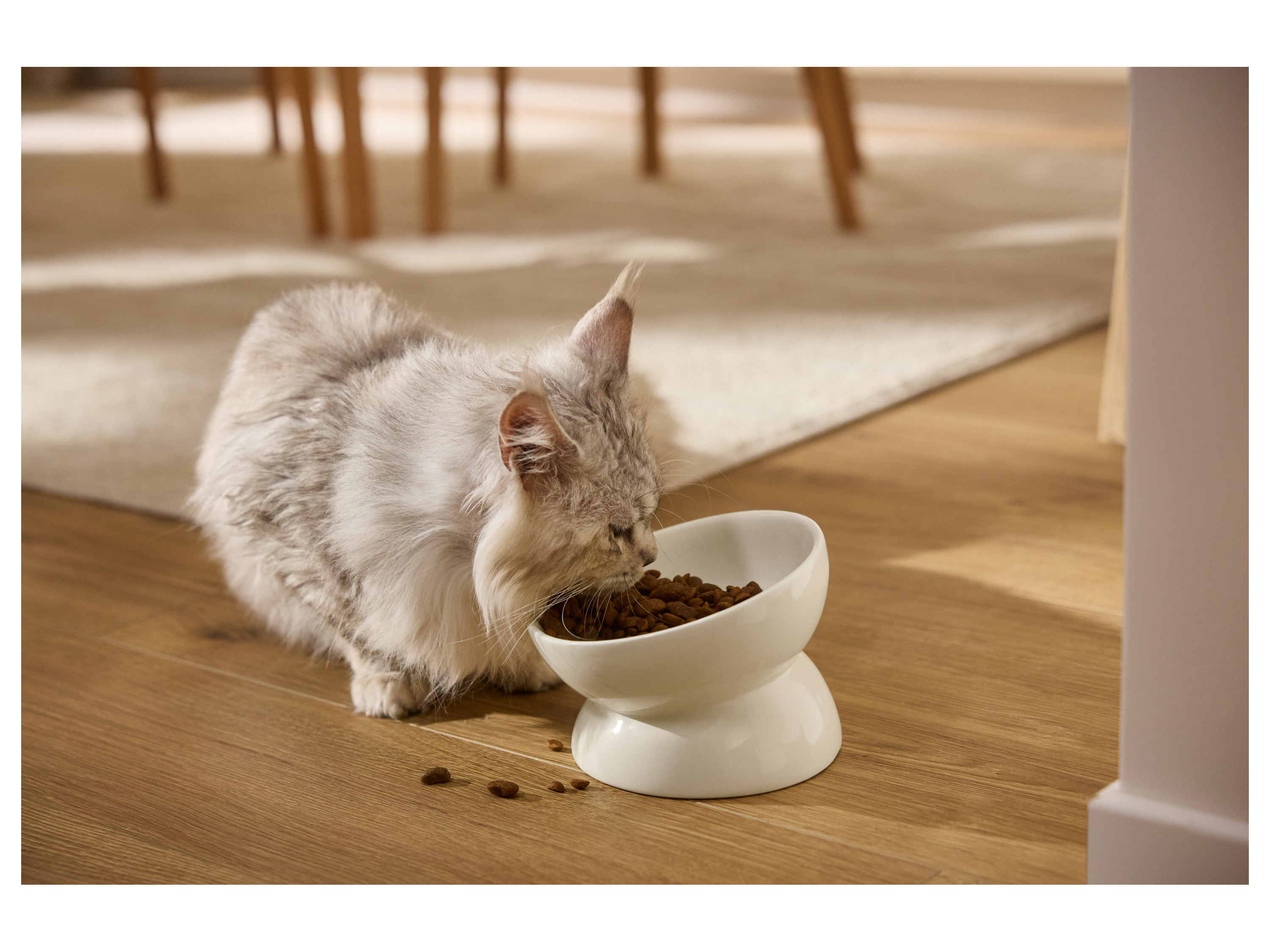 MAX & MILA'S WORLD Futternapf (Katzennapf ergonomisch) – Bild 2 von 2