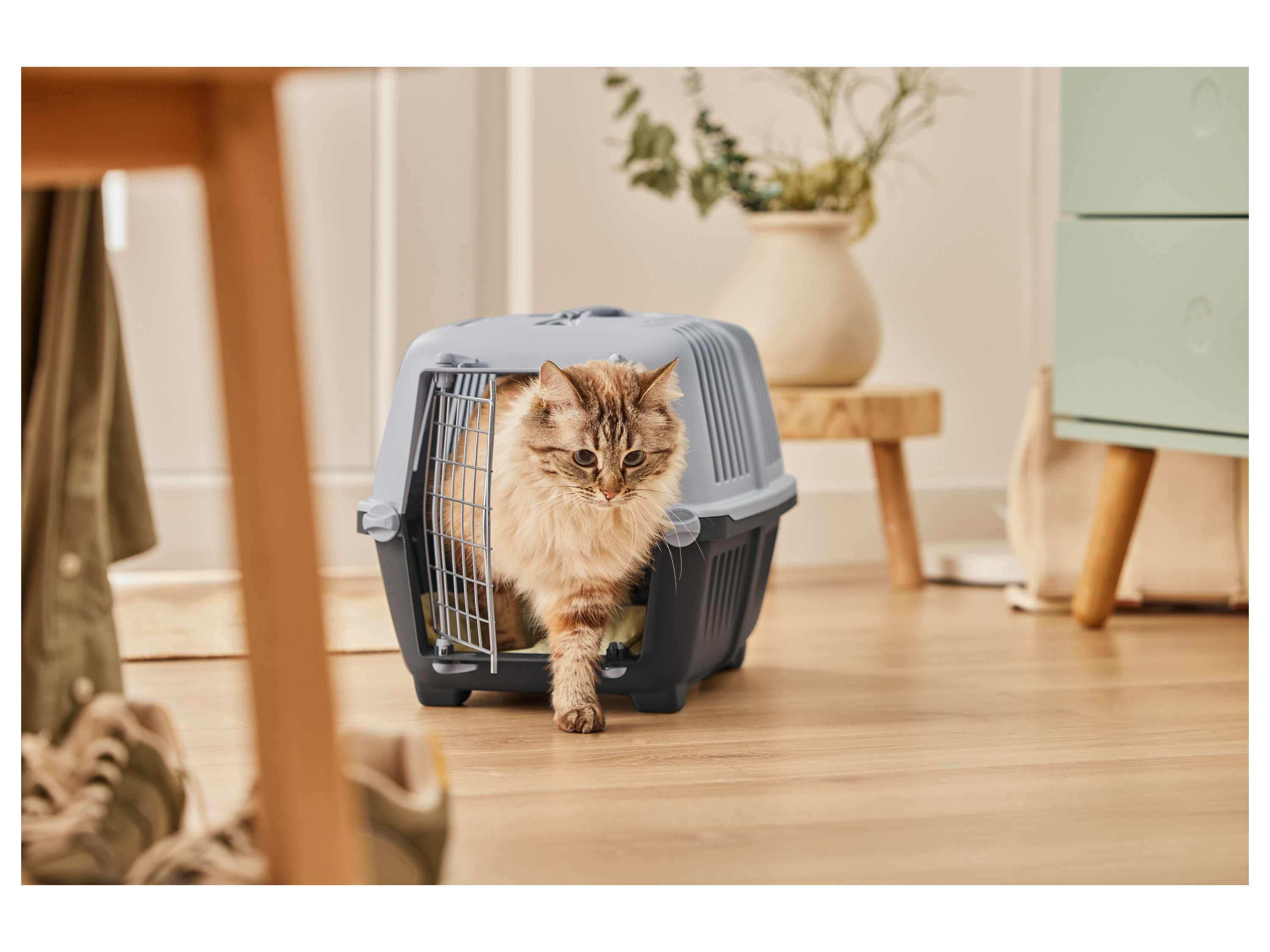 Thumbnail - zoofari® Katzentoilette/-transportbox (Transportbox)