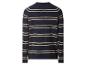 Gestreifter Langarmpullover für Herren in Marineblau und Beige, Rückansicht.