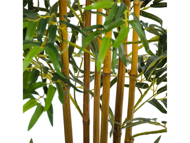 Gehe zu Vollbildansicht: Pureday Kunstpflanze Bambusbaum, mit Naturstamm - Bild 5