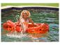 Lächelnde Frau auf einem durchsichtigen orangefarbenen Schwimmreifen in einem Pool.