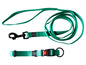 Ein grünes Hundehalsband und -leine der Marke Julius-K9.