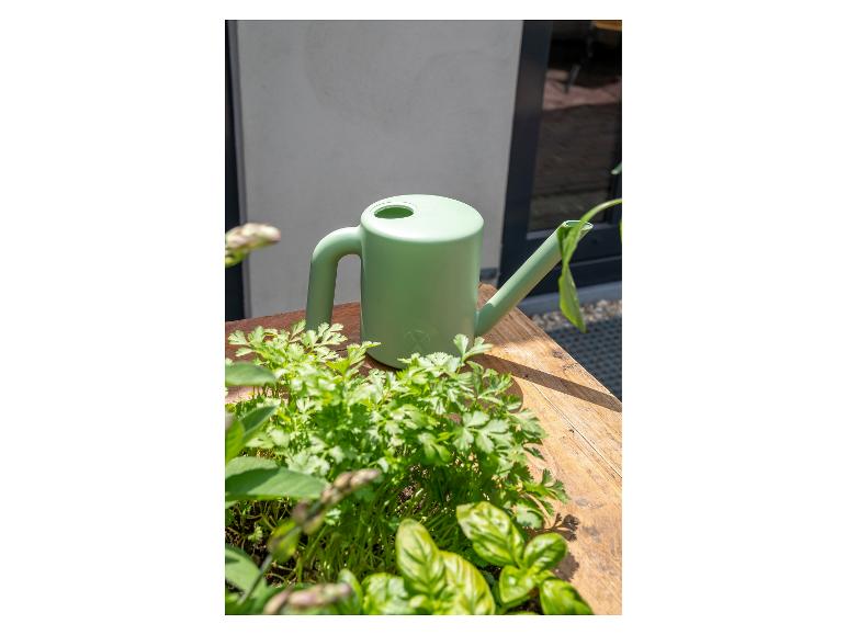 Grüne Gießkanne auf einem Holztisch neben frischen Kräutern.