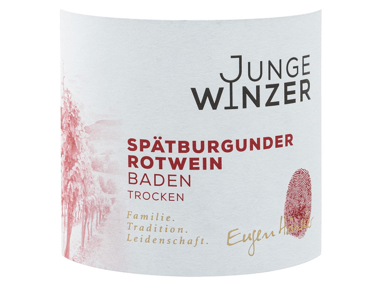 Gehe zu Vollbildansicht: Junge Winzer Spätburgunder Baden QbA trocken, Rotwein 2019 - Bild 2