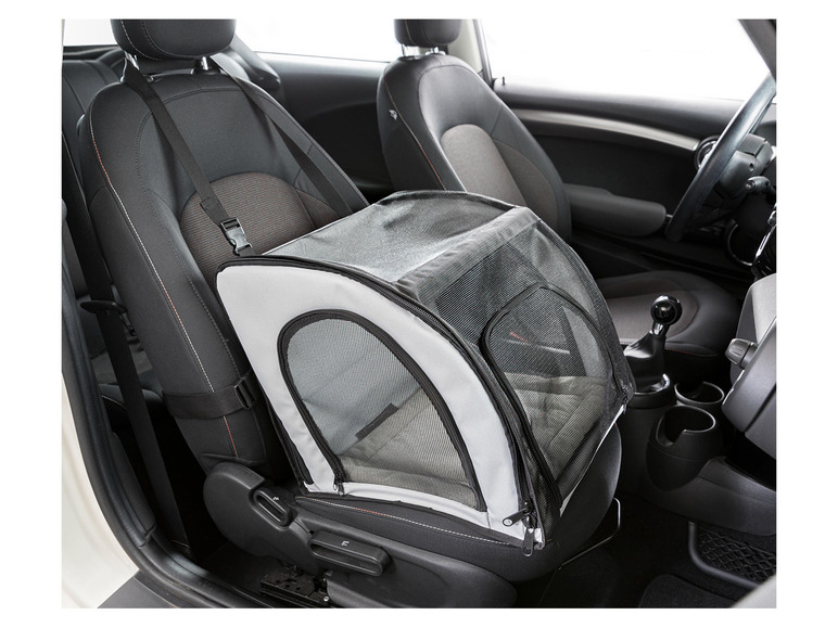 Eine Hundebox im Auto auf dem Rücksitz.