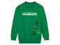 Grünes Minecraft-Sweatshirt mit Creeper-Druck.
