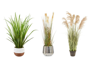 Pureday Kunstpflanze Schilf/Gras, ideal für dunkle Ecken