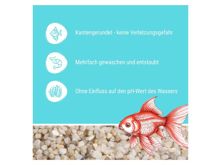 Aquariumkies mit abgerundeten Kanten, gewaschen, staubfrei und pH-neutral, mit Goldfisch.