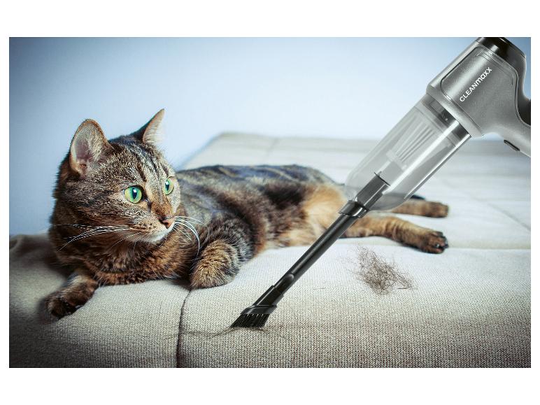 Katze liegt auf dem Sofa, während ein Handstaubsauger Haare aufsaugt.