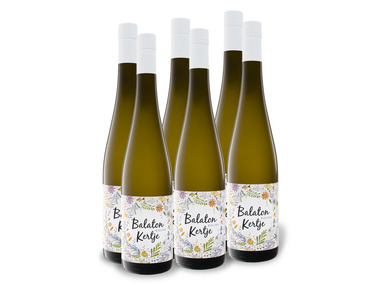 6 x 0,75-l-Flasche Weinpaket Balaton Kertje Rizling trocken, Weißwein