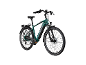 Grünes E-Bike mit schwarzem Sattel, Gepäckträger und Schutzblechen.