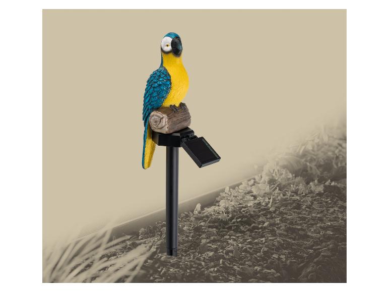 Papagei Solarleuchte im Garten