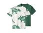 Zwei Kinder-T-Shirts: eines weiß mit grünen Dinosauriern, das andere einfarbig grün.