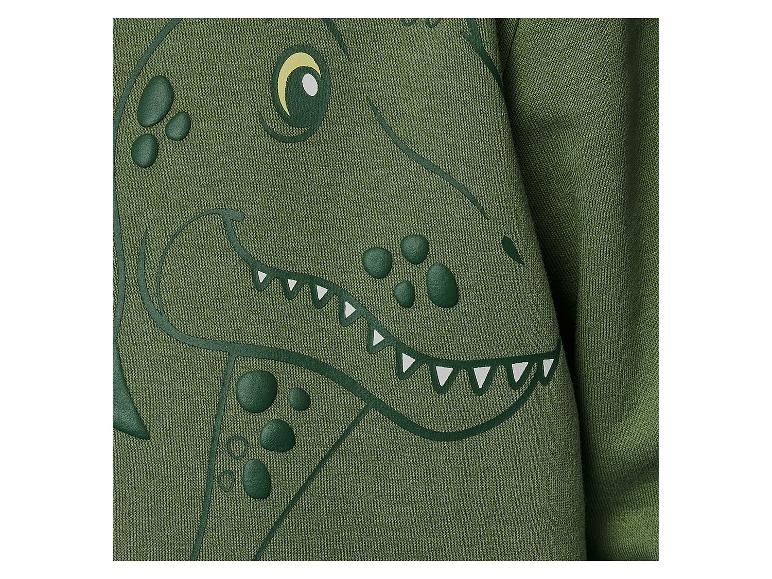 Grünes Sweatshirt mit geprägtem Dinosaurier-Print.