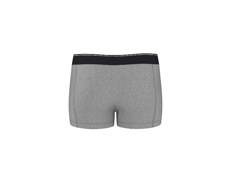 Graue Baumwoll-Boxershorts für Herren mit schwarzem Gummibund