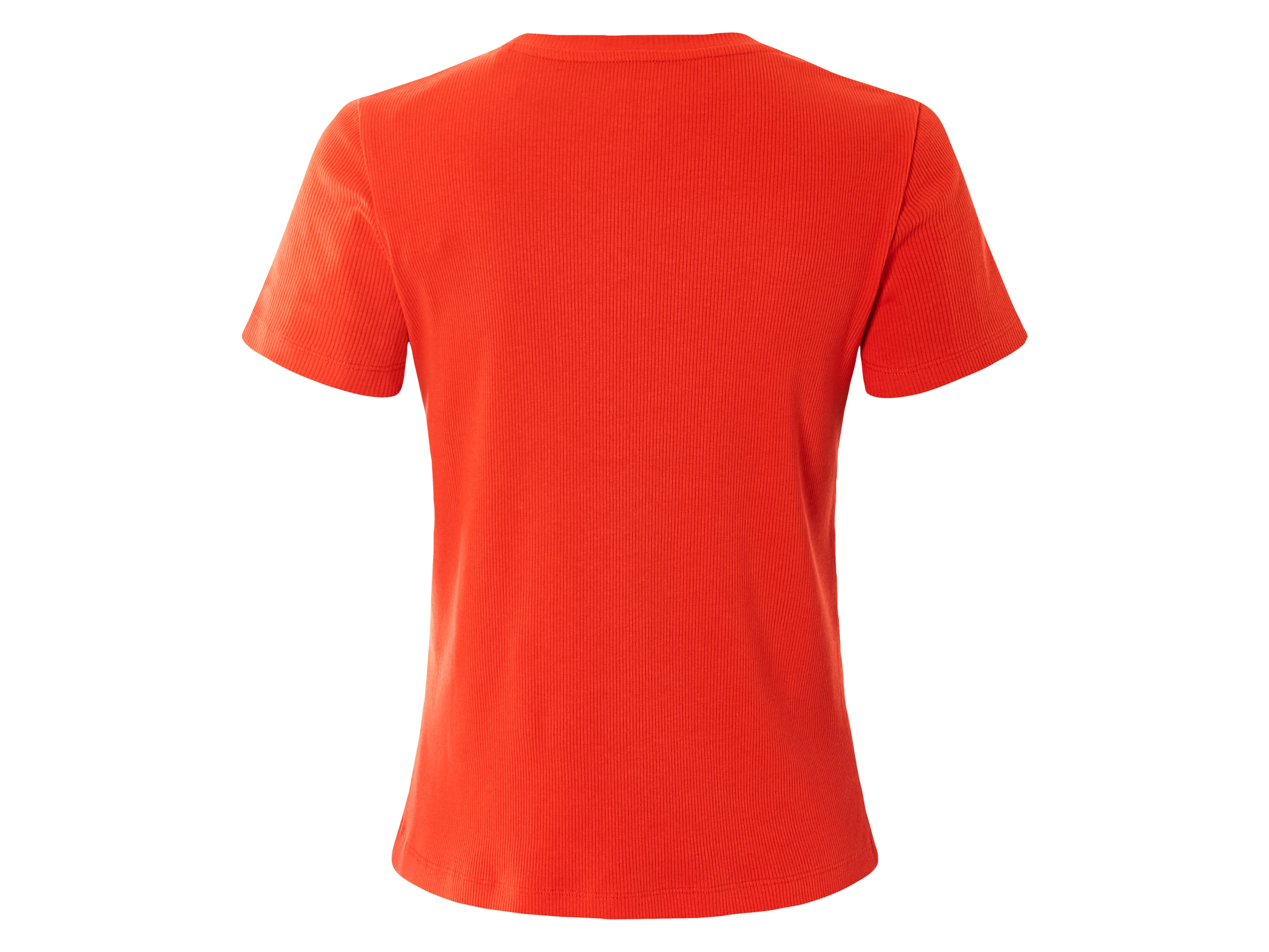 Thumbnail - esmara® Damen T-Shirt Rippe (S(36/38), orange)