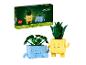 LEGO Botanicals Happy Plants Set mit zwei baubaren Pflanzen in niedlichen Töpfen.