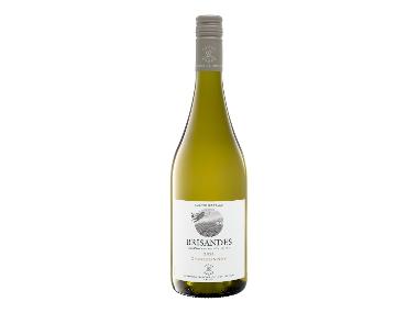 Brisandes Chardonnay Colchagua Valley trocken, Weißwein 2025