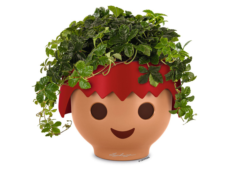 Eine grüne Pflanze in einem Lechuza Topf mit einem fröhlichen Gesicht.