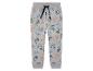 Graue Jogginghose mit Dinosaurier-Print