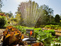 Gardena Sprinkler bewässern Salat im Garten.