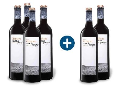 4 + 2 Weinpaket Monte Plogar Crianza Cariñena DOP trocken, Rotwein 