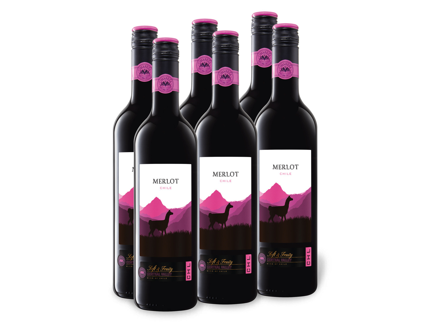 Chi… x Valley Weinpaket Central 0,75-l-Flasche Merlot 6
