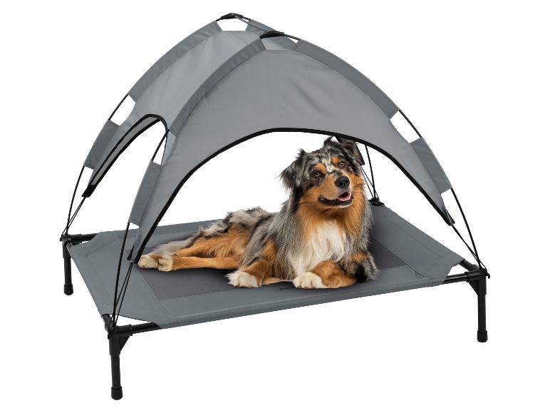 Hund liegt auf einem erhöhten Bett mit grauem Sonnendach.