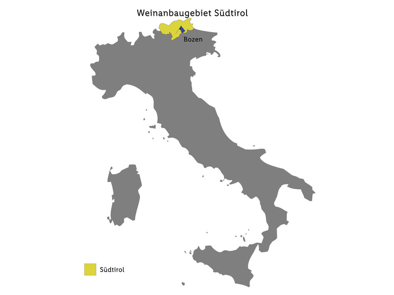 Gehe zu Vollbildansicht: Kellerei Kaltern Pinot Grigio Alto Adige DOC trocken, Weißwein 2022 - Bild 3