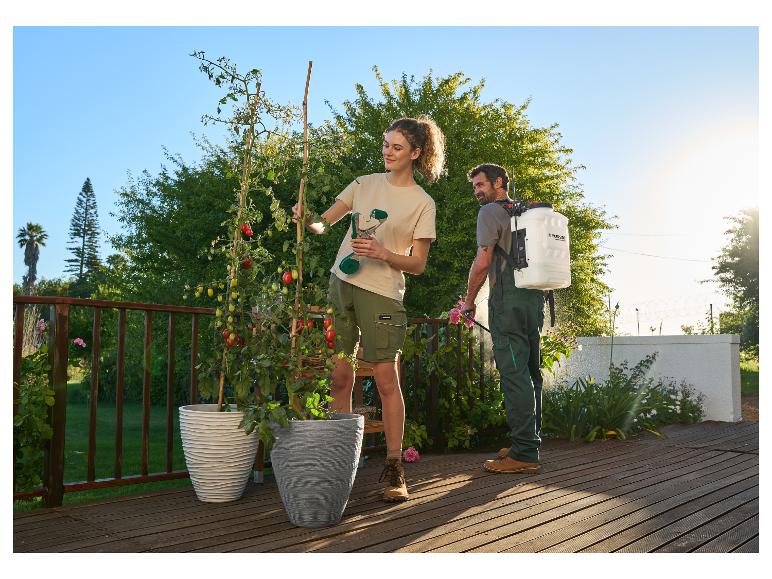 Junge Frau gießt Tomaten im Topf, Mann besprüht Pflanzen auf Holzterrasse.