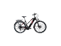 Schwarzes E-Bike mit roten Akzenten und Gepäckträger.