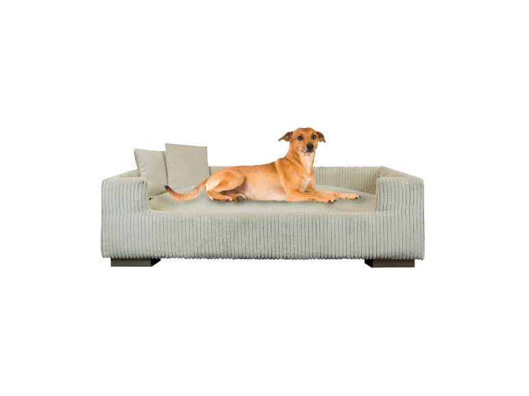 Beige Cord-Hundebett mit Kissen.