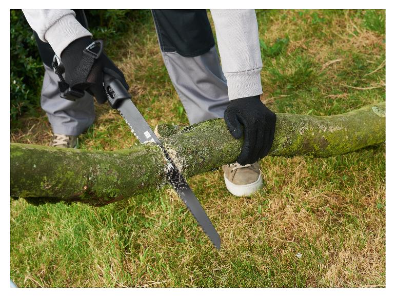 Person schneidet einen moosigen Ast mit einer Handsäge