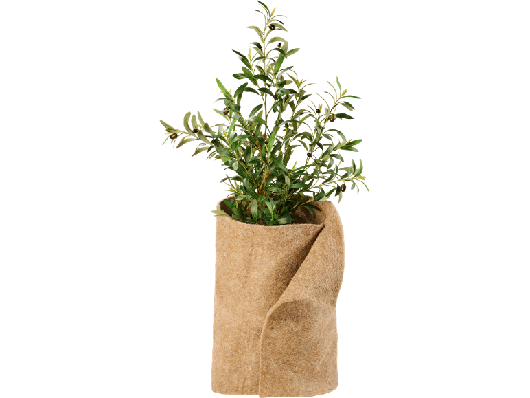 Künstlicher Olivenbaum im Jutesack.