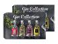 Gin-Kollektion mit vier kleinen Flaschen exotischer, blumiger, pinker und Mate-aromatisierter Gins.