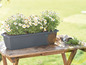 Ein dunkelgrauer Blumenkasten mit weißen Gänseblümchen auf einem Holztisch.